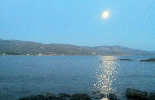 White lilies the house of gourmet flavours - Foto 52