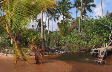 Estudio Lirios seu cantinho ecológico na natureza - Foto 26