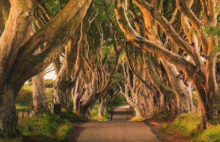 Alt Na Craig - Foto 4