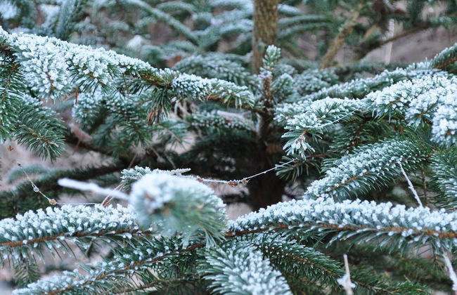 Shed 57b in an old Flour Mill in Haulerwijk - Foto 28