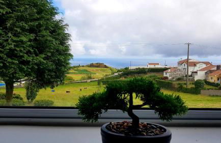 Casa Miramar - Photo 16