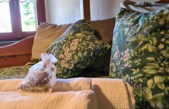 Casale dei Puppi, una bellissima casa rustica - Foto 27