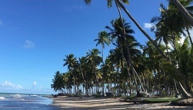 Excursion à la plage de Carneiros en bateau et transfert aller-retour de l'aéroport - Photo 4