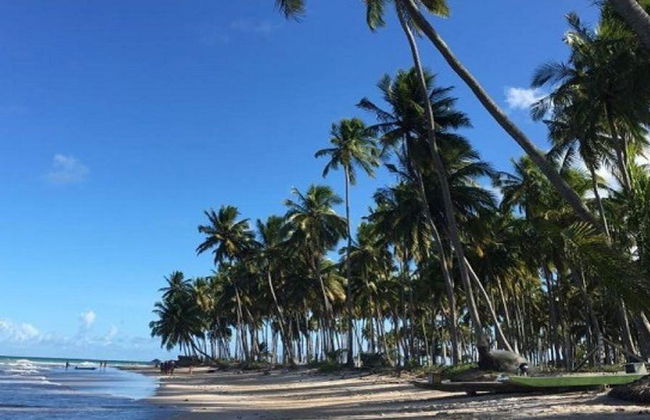 Excursion à la plage de Carneiros en bateau et transfert aller-retour de l'aéroport - Photo 4