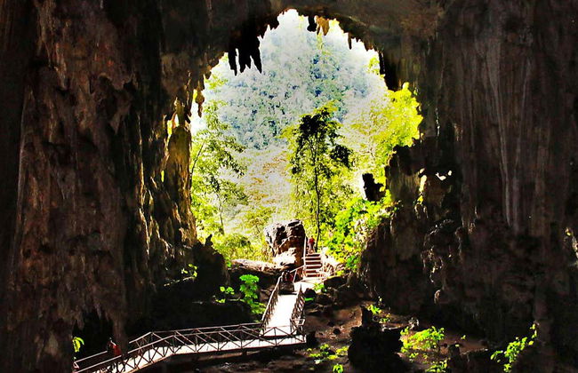 Escursione al Parco Nazionale Tingo María - Foto 7