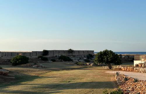 Masseria Ostuni Mare Agri Resort - Foto 74