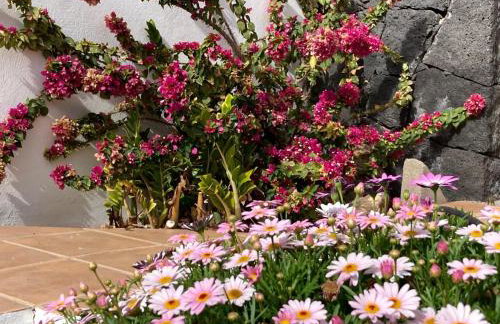 "Our Soleada" Villa cosy and flowery, heated pool - Foto 63