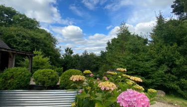 STARGAZER adult only - Foto 5, Garden view