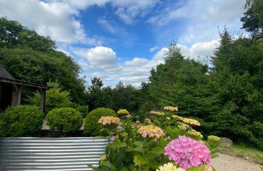 STARGAZER adult only - Foto 5