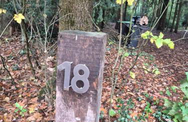 Idyllisch & ruhig - gemütliches Ferienhaus im Wald Hunde willkommen, in Hatten, nahe Oldenburg - Foto 50