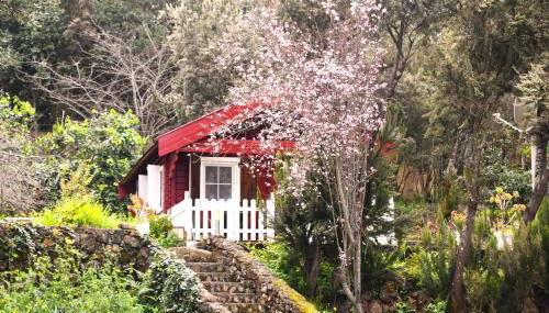 Casa Rural La Gustoza - Foto 2