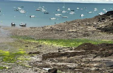 La Capitainerie - Foto 12