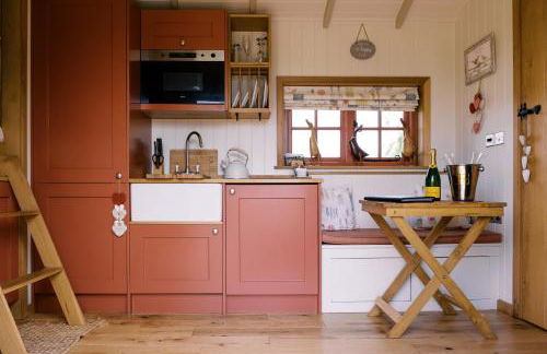 Shepherd's Hut- Hot Tub- Wellness Spa- Wood Burner - Foto 26