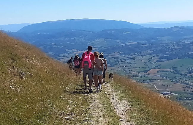 Locanda di Casigliano - Photo 8