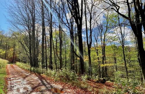 Fireplace Catskill Views Overlook Lake Cabin - Foto 67