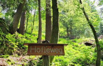 Ferienwohnungen Höflehof - Foto 6