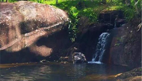 Vale das Quaresmeiras - Foto 3