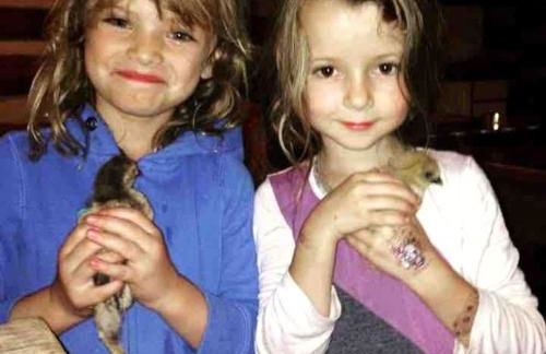 Log Casita Overlooking Pond and Waterfall near Taos, New Mexico - Foto 44