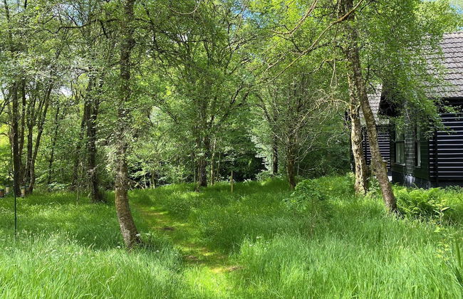 Burnbank Lodges - Foto 21