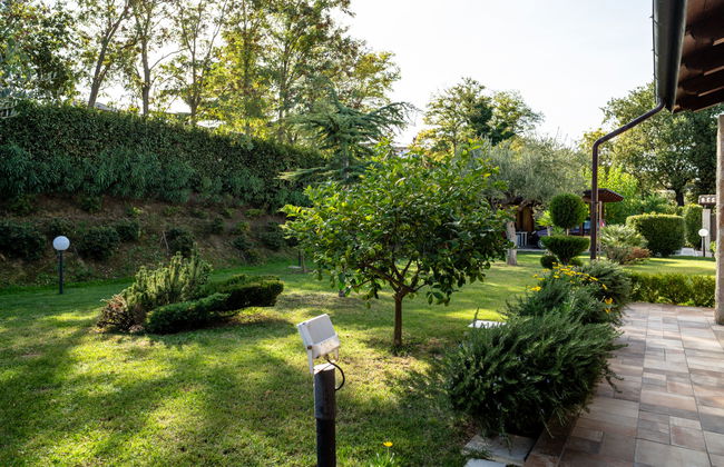 Rêve d'Or - Foto 38