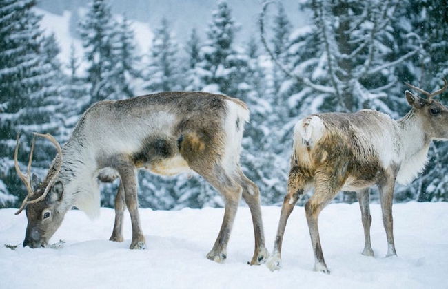 Résidence Hôtel Rent - Foto 58