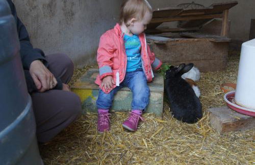 Bio-Erlebnisbauernhof Doll - Foto 15