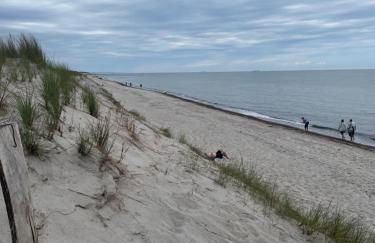 Ferienhaus am Küstenwald - Foto 1