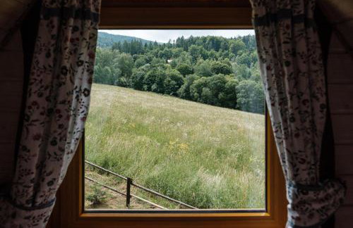 Dom Malowany domki - Foto 53