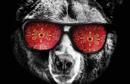 The Big Lebearski - AC, Grill, Fire Pit, Hot tub! - Foto 29