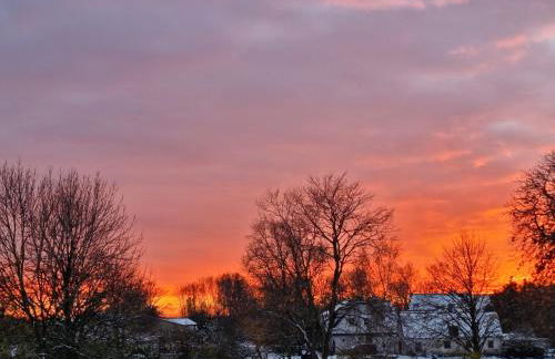 FeWo Monika - Foto 13