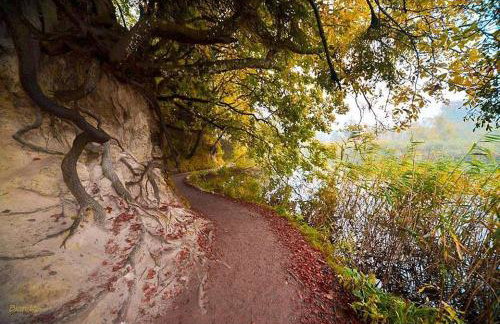 Apartment in Rakovica with balcony, air conditioning, Wi-Fi (601-2) - Foto 35