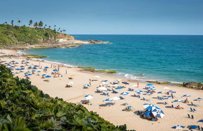 Sightseeing Bus Tour of Salvador da Bahia - Photo 5