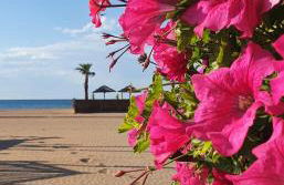 "Les Galets Blancs" Neuf classé 3 étoiles - Foto 38