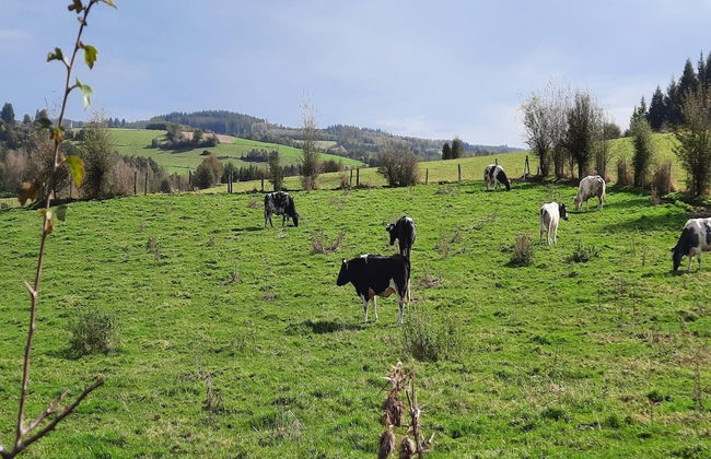 Countryside Escape for 9 - Foto 34