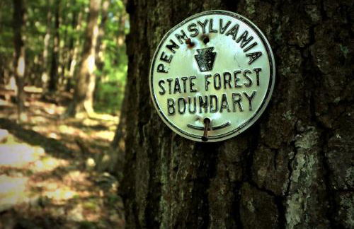 Gorgeous Cottage for Two, Overlooking Pond on 20 acres, Glamping in Pennsylvania - Foto 41