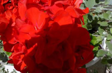 Appartements Burgerhof - Foto 63