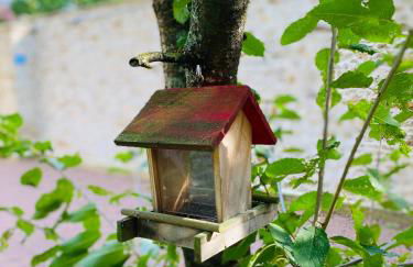 Suite Cupidon- Domaine des trois châteaux - Foto 148