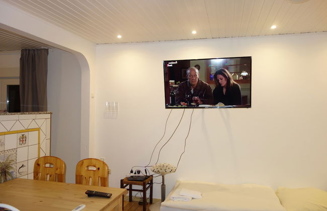 Tolstov-Hotels Large 3 Room Apartment with Garden - Foto 15