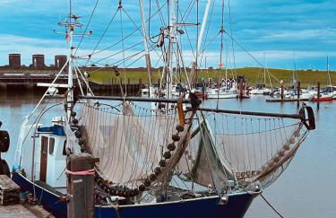 Stilvolles Architektenhaus am Jadebusen - Foto 33