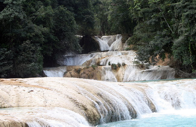 Agua Azul, Misol-Há und die archäologische Zone von Palenque - Auf Spanisch - Foto 4