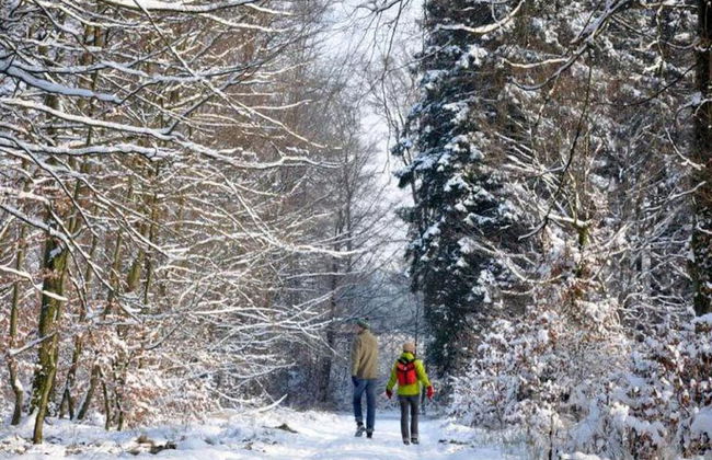 Lodge in Ardennes Near La Roche Center - Photo 16