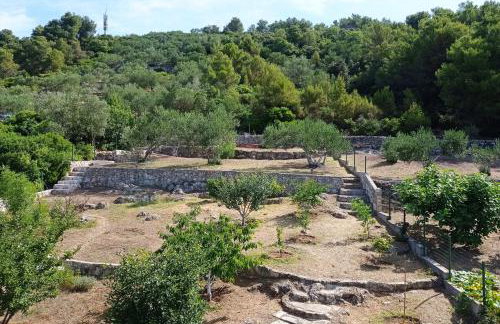 Apartments with parking space Mrljane - Pasman - 20056 - Photo 14