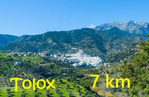 Agro tourism house GAUGUIN with pool Finca el Moralejo TOLOX - Foto 37