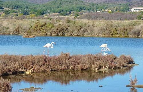 L'Horizon - Piscine - À 50m de la plage - Foto 44
