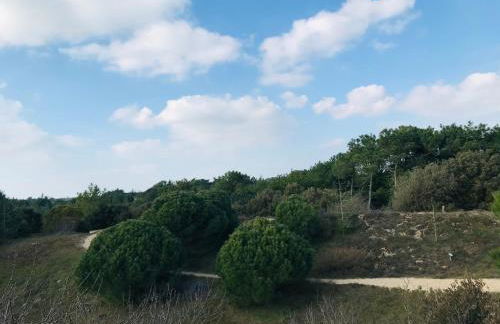 Maison du Plantin jardin & calme - Photo 10