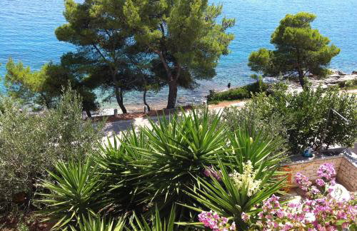 Villa Katja - Photo 71