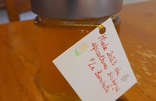 La casa dei nonni - Foto 22