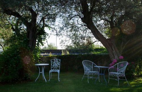 Azienda agricola Della Mezzaluna - Foto 49