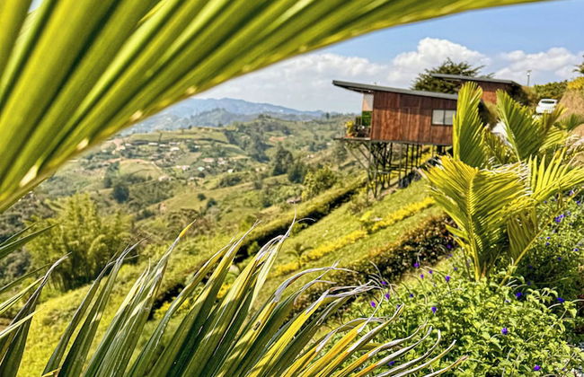 San Simon Glamping - Photo 37