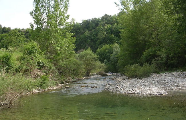 Tuscan Hilltop Getaway - Foto 40